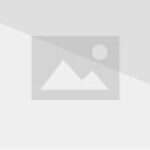 découvrez le rôle fascinant du gardien volant, ce joueur clé qui défend et attaque avec agilité dans les sports collectifs. apprenez ses techniques, ses responsabilités et son importance stratégique sur le terrain.