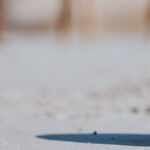 découvrez l'origine du volley-ball : son invention, son évolution à travers le temps et les faits marquants qui ont contribué à faire de ce sport l'un des plus pratiqués au monde.