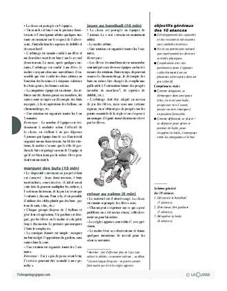 découvrez le lexique essentiel du handball pour maîtriser facilement les termes clés de ce sport passionnant, idéal pour débutants et passionnés.