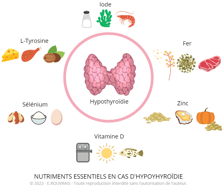 découvrez les conseils nutritionnels essentiels pour mieux gérer l'hypothyroïdie de hashimoto grâce à une alimentation adaptée favorisant votre bien-être et votre équilibre hormonal.