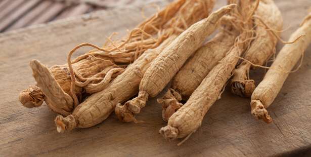 découvrez les bienfaits du ginseng rouge, une plante aux propriétés revitalisantes et énergisantes reconnues pour renforcer le système immunitaire et améliorer la vitalité.