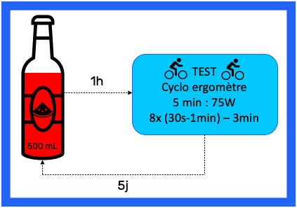 découvrez les bienfaits de la l-citrulline pour améliorer votre performance sportive, booster votre endurance et favoriser la récupération musculaire.