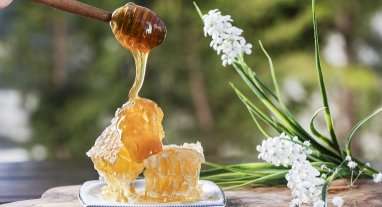 découvrez les bienfaits de la propolis pour la santé : renforcement du système immunitaire, propriétés anti-inflammatoires et action antibactérienne naturelle.
