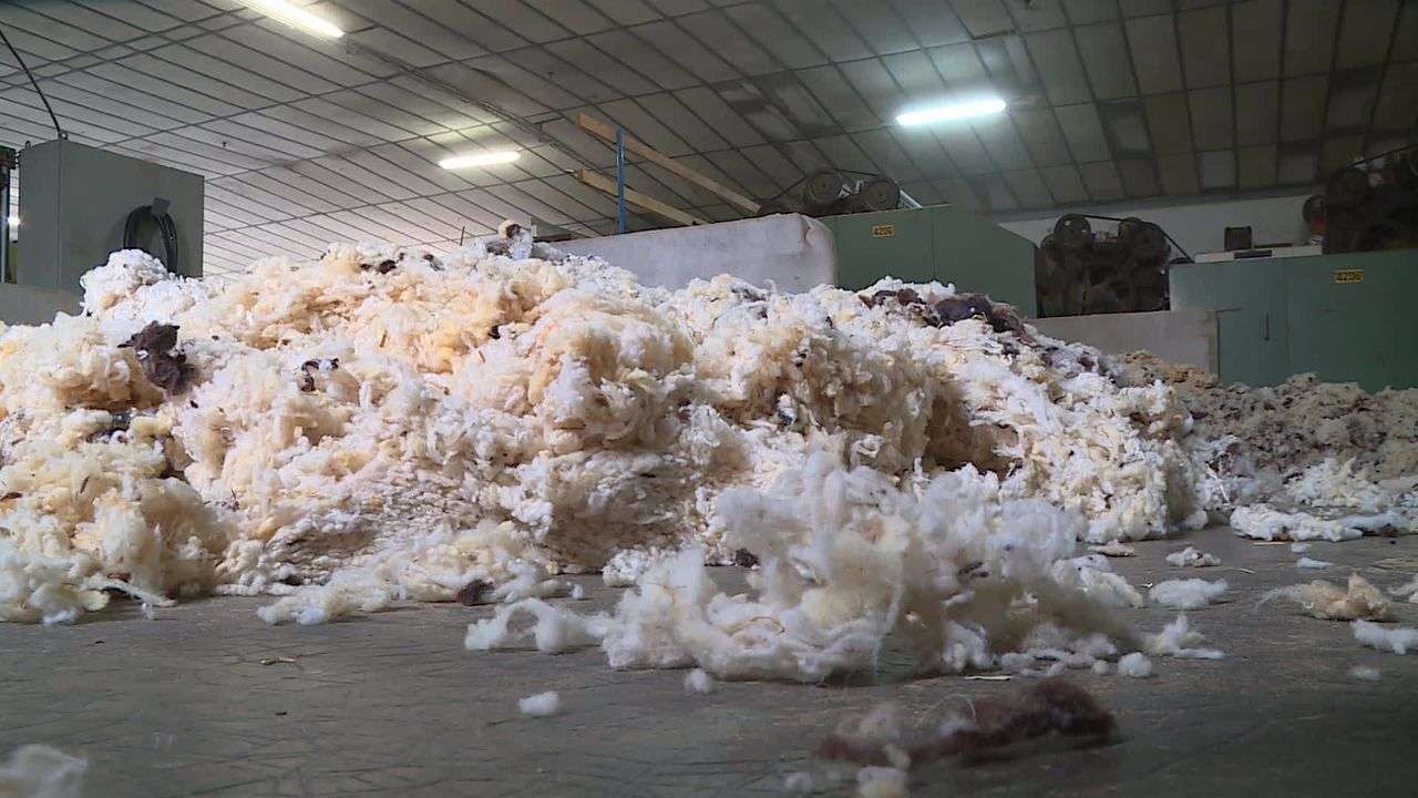 découvrez les bienfaits du tapis de yoga en laine du larzac, alliant confort, chaleur naturelle et durabilité pour une pratique de yoga authentique et respectueuse de l'environnement.