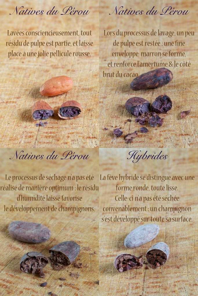 découvrez les bienfaits du cacao cru et ses multiples usages pour votre santé et votre cuisine. apprenez comment intégrer ce super-aliment naturel dans votre quotidien.