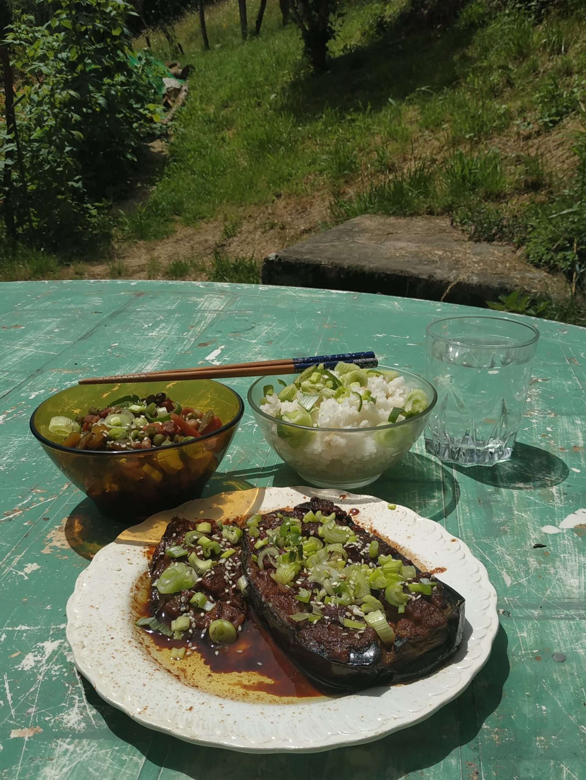 découvrez comment cuisiner l'aubergine au miso avec des recettes simples et savoureuses pour sublimer ce légume dans vos plats.