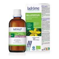 découvrez le dosage optimal du millepertuis pour profiter pleinement de ses bienfaits naturels sur votre bien-être et votre santé.