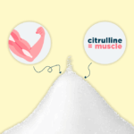 découvrez les effets de la citrulline sur les reins, ses bienfaits potentiels et précautions à prendre pour une utilisation sûre.