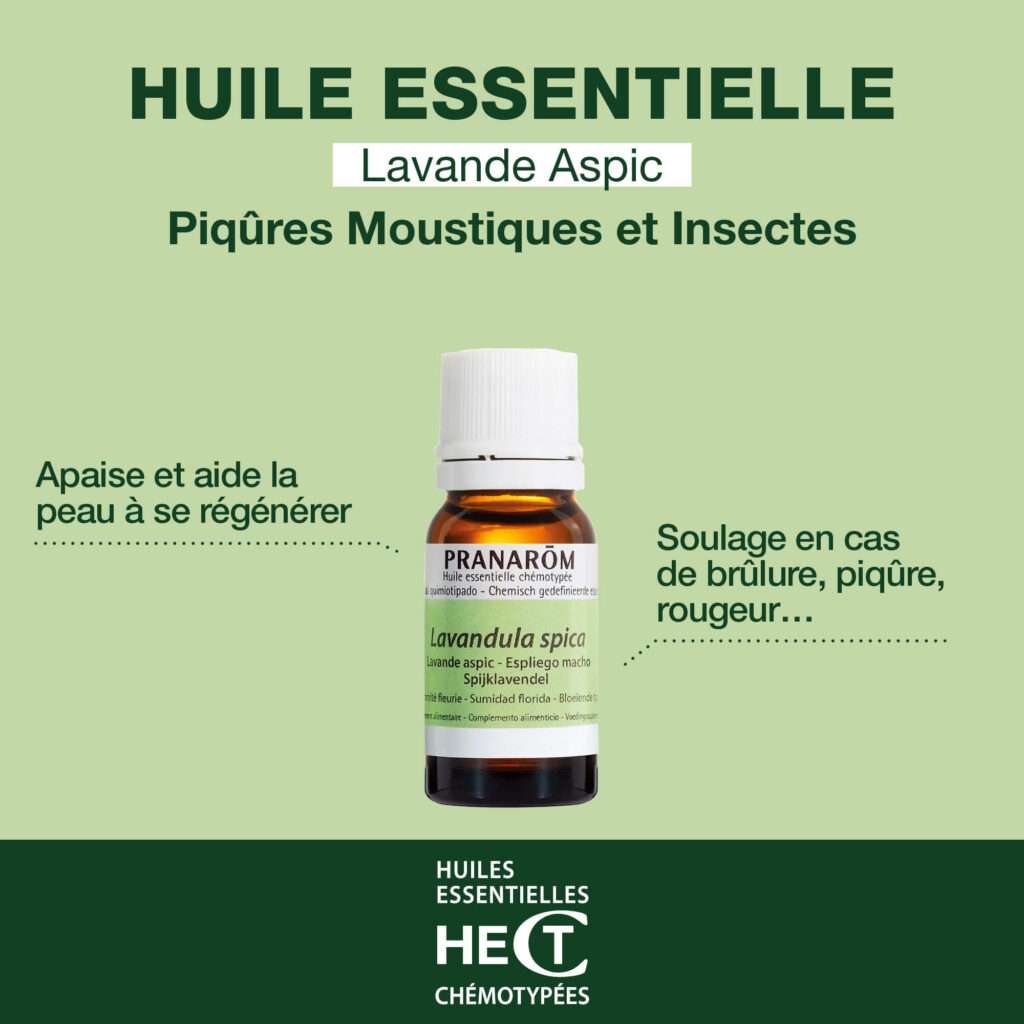 découvrez les bienfaits de l'huile essentielle de lavande aspic, reconnue pour ses propriétés apaisantes, cicatrisantes et anti-inflammatoires, idéale pour soulager les brûlures, piqûres d'insectes et irritations cutanées.