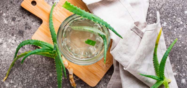 découvrez les bienfaits du jus d'aloe vera pour la santé et des conseils pratiques pour l'utiliser au quotidien.