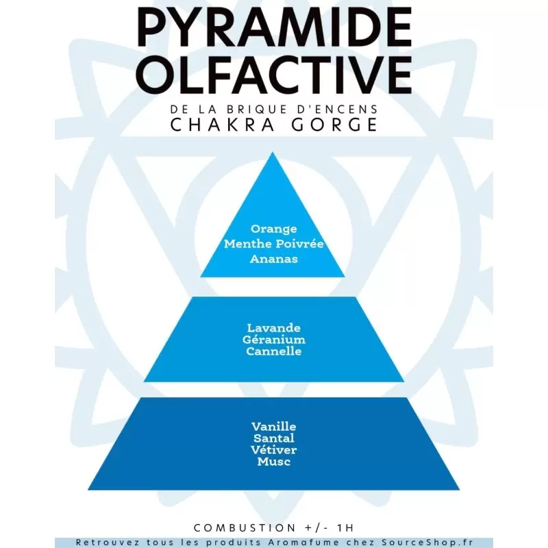 découvrez comment une prière dédiée au chakra gorge peut vous aider à retrouver votre capacité d'expression et à libérer votre communication intérieure.