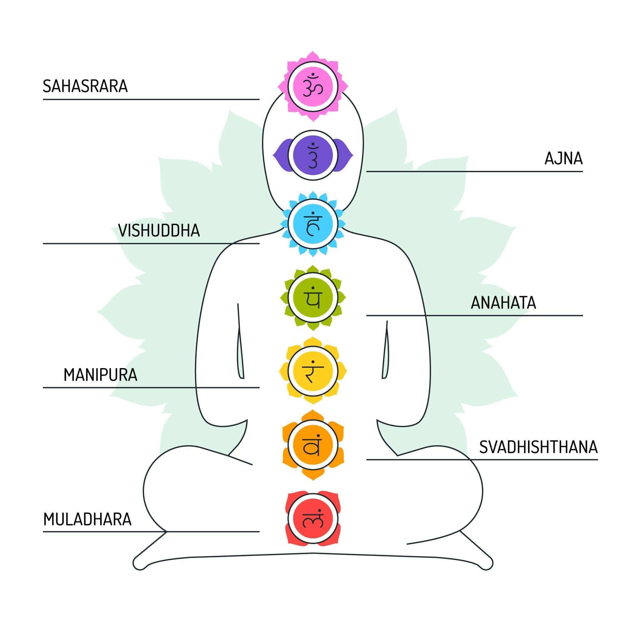 découvrez la signification du chakra du plexus solaire, centre énergétique lié à la confiance en soi, au pouvoir personnel et à la transformation intérieure.