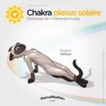 découvrez la signification profonde du chakra du plexus solaire, son rôle dans l'énergie personnelle et comment l'équilibrer pour renforcer confiance et bien-être.