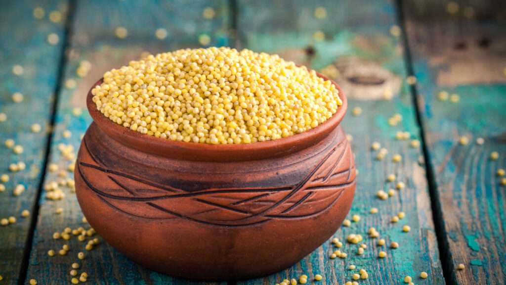 découvrez les nombreuses utilisations des flocons de millet pour une alimentation saine et équilibrée, riches en nutriments et faciles à intégrer dans vos repas quotidiens.